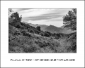 Fujifilm X-T20 - Fujinon 18-55 f2.8-4.0 R LM OIS