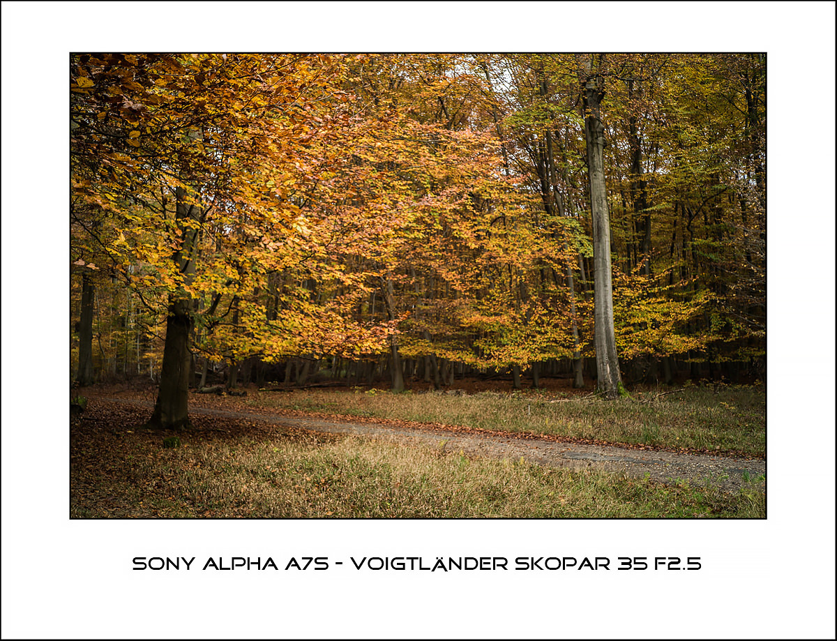 Sony Alpha A7s - Voigtl?nder Skopar 35 f2.5
