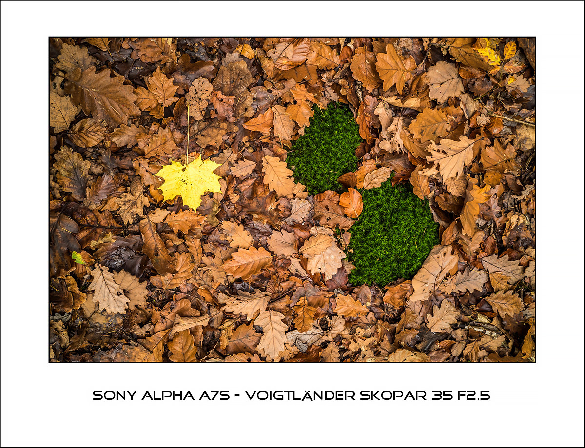 Sony Alpha A7s - Voigtlaender Skopar 35 f2.5