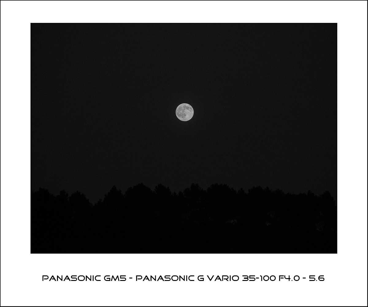 Panasonic GM5