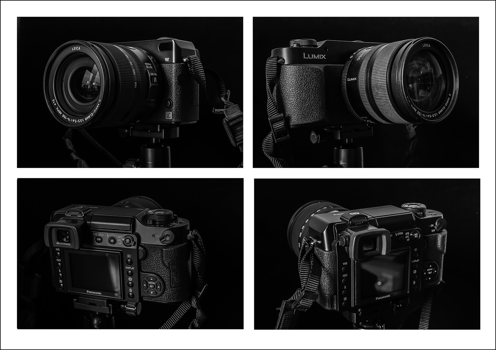 Panasonic L1 - Pana-Leica Elmar 14-150 f3.5-5.6
